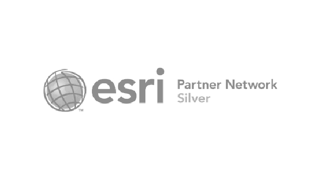 1 Partner Esri